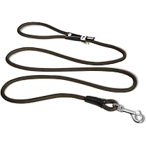 Curli Basic Hundeleine Nylon – Größe M (1,5 Cm X 140 Cm), Farbe Lime, Mit Neopren-Handschlaufe, Zu Brustgeschirr Passend