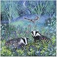 Museums & Galleries Lucy Grossmith Hare And Poppies Art