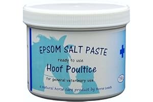 HORSELEADS Epsom Salt Paste 750 g by Horse Leads