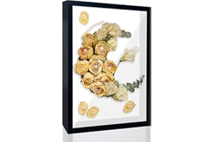 FIHODONE Shadow Box Frame 22.5 X 31.5 X 3cm,Box Frames for Crafts 3D Deep for Tabletop And Wall,Shadow Box Deep Box Frame,A4 Box Frame for Crafts Memorabilia Flower Tickets Medal (Black)