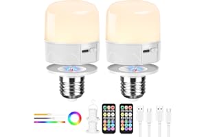 Birnetek Bombilla Recargable USB-C,Bombilla LED E27 Regulable con Mando,Bombilla Inteligente Desmontable con Temporizador,Luz de Emergencia con Imán,Bombilla Portátil Sin Cable,2 Piezas (Cabeza plana)