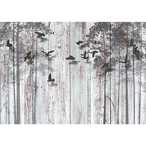 Fototapete Abstrakt 352 x 250 cm – Vliestapete – Wandtapete – Vlies Phototapete – Wand – Wandbilder XXL – !!! 100% MADE IN GERMANY !!! Runa Tapete 9104011a - 6