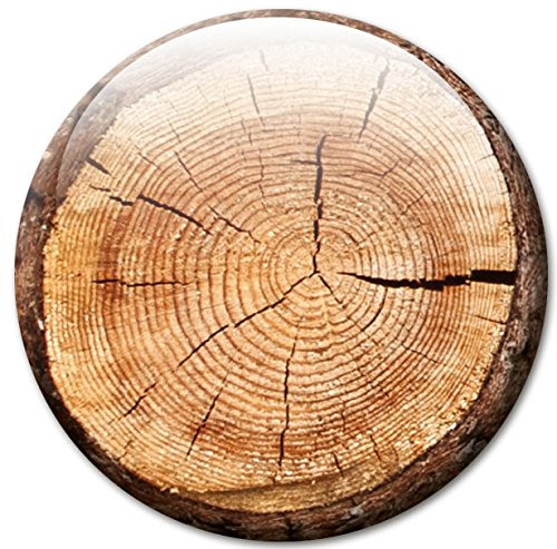 Baumstämme – Stämmige Design Metall Magnettafel 40×30 cm – Pinnwand Memoboard mit Motiv: Baumstämme – inkl. 4 Magnete mit Motiven in Baumstammscheibenoptik für Magnetwand – Original Magnetpinnwand GUMA Magneticum - 4