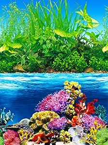 ELEBOX Fish Backgrounds Paper Double Sides Aquarium Background Picture, Colorful Fish Tank Background 16