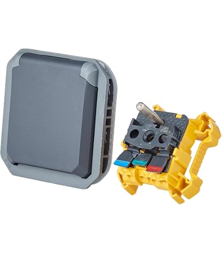 Prise Électrique Legrand 2P+T Avec Éclisse De Protection - Référence 069731 - Série Plexo - Neuf En Boîte