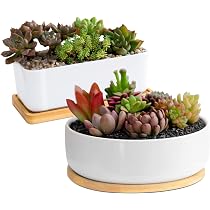 Set 2 Vasi In Ceramica Bianca Per Piante Grasse Con Vassoio In Bambù - Contenitori Per Cactus, Bonsai, Interni/esterni - 5