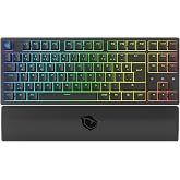 Pusat Rapid Pro TKL Monster Tactile Red Switch 80 M Tıklama Kablolu Mekanik RGB Oyuncu Klavyesi (Siyah)