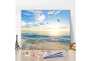 TISHIRON Malowanie według liczb, dla dorosłych i początkujących, dzieci, zachód słońca, plaża, ocean, ptaki, malarstwo, mewy, obraz olejny "zrób to sam", zestaw do malowania z pędzlami