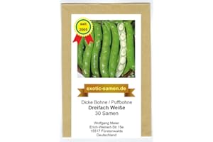 EXOTIC-SAMEN Dicke Bohne - Ackerbohne - Dreifach Weiße -samenfeste Sorte - 30 Samen