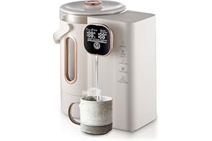 AISNY Distributore Acqua, Bollitore con Controllo Della Temperatura Erogatore d'Acqua in Acciaio Inox da 3 Litri 800W con Chiave di Blocco Erogatore Acqua per Casa Ufficio e Camper