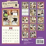 Image de Dog Shaming 2017 Calendar