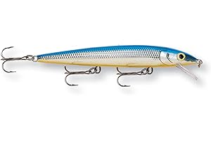 Rapala Husky Jerk 10 Fishing Lure