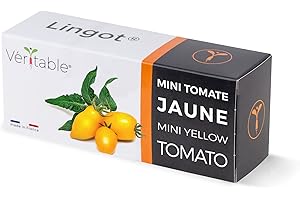 Lingot® Mini Tomate Jaune - Compatible Potager d'Intérieur Véritable® et Exky® - Recharge prête à l'emploi - Substrat avec Graines Intégrées…