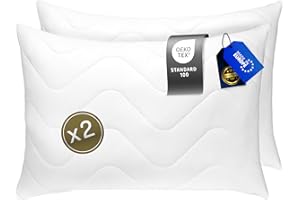 FH FAM' HOME HOME COSINESS FAM Home Juego de 2 Almohadas Cojines de Microfibra Suave I Relleno De Cojín para Soporte Óptimo para El Cuello y La Cabeza I Relleno Cojin Se Puede Lavar Y Secar a Máquina (50 x 60 cm Juego de 2)