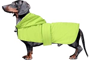 MOREZI Dachshund coat miniature dachshund coats fit for dachshunds sausage dog rain coat with hoodie hook and loop closure great coverage Light Green XS