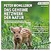 Das geheime Netzwerk der Natur: Wie Bäume Wolken machen und Regenwürmer Wildschweine kontrollieren. Verblüffende Einblicke in die Beziehungen zwischen Pflanzen und Tieren by