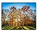 Produktbild Mouse Pad Natural Rubber Mousepads Colors of Autumn Fall Golden Sun Light Coming Through The Branches of a golden Colored Tree with Blue Sky 28349940 250mm*300mm