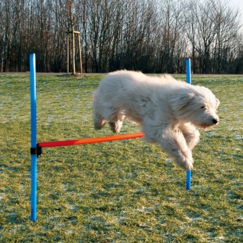 Dog-Agility-Hurdle
