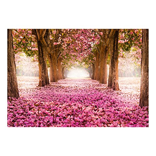 FOTOTAPETE Allee rosa – KOMPLETT SET MIT KLEISTER – XXL 400×280 CM PREMIUM VLIES TAPETE – PROFI QUALITÄT (Keine Papiertapete, keine Blasenbildung) – Top moderne Wanddeko – Fototapete 3D Illusion – Riesen Wandbild – Top Design Tapete – Neue exklusvie Edition mit noch besser Druckauflösung – Deutsches Premium Vlies (Kein Import Vlies oder PVC), Schlafzimmer, Wohnzimmer, Kinderzimmer geeignet. FOA0010a84XL - 4