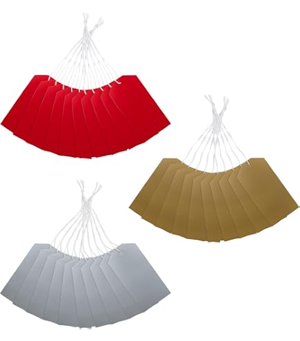 20 etichette natalizie di lusso – Etichette natalizie con cordino dorato – 4 disegni assortiti – albero, calza, pettirosso e regalo – vuote sul retro – biglietto ecologico – accessorio da regalo