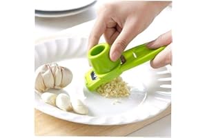Casecover Mini-Cuisine Outils Légumes Râpe Ail Presse Grinding Gingembre Râpe Ail Crusher Plastique + Acier Inoxydable Multifonction Ail Peeler Grater Slicer Cutter 1pc