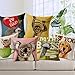 Produktbild Orangutan Bazaar Cute Tiere Cartoon Hund Koala Kissen Kissenbezug Büro des Auto Fall Sofa