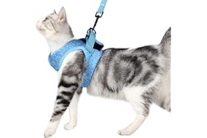 DOTONER Set di Pettorina e guinzaglio per Gatti, Imbracatura per Gatti, Pettorina per Cani Piccola Taglia Conigli,Regolabile Pettorina Ultra Leggero(blu,l)