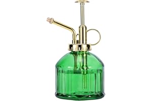 Eidoct Flacon pulvérisateur en verre vert de 16,5 cm avec pompe dorée - Petit arrosoir pour plantes d'intérieur et d'extérieur - Vert + doré (vert + or B)