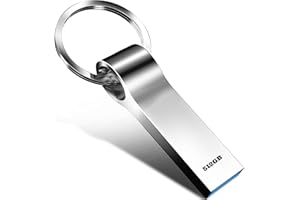 destuu USB Stick 512GB USB 3.0 Flash Drive High Speed Speicherstick Metall Wasserdicht USB-Flash-Laufwerk Mini Portable Pendrive Datenspeicher für PC/Tablet/Laptop/Auto