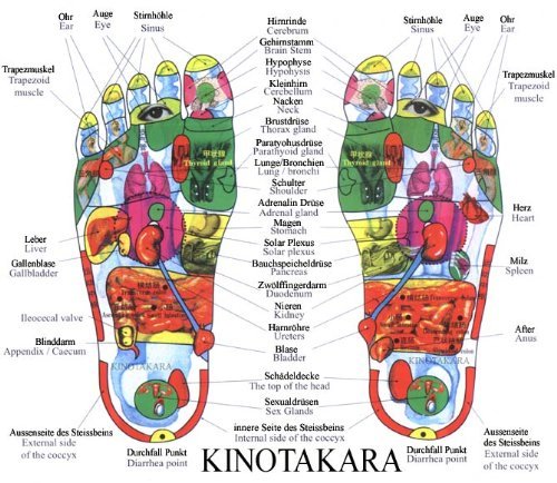 Kinotakara Baumessigpflaster aus Japan (1 Paket à 10 Pflaster) - 3