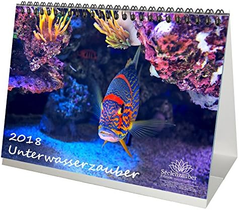 Premium Table Calendar 2018/ – DIN A5 – Underwater Magic – Underwater – Diving – Fish – Sea – , 1 and 1 Christmas Greeting Card – Edition Soul Magic Gift Set