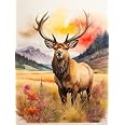 Amiiba Pre-Printed Wolf Cross Stitch Kit For Adults - 11CT Stamped Fabric 15.7x19.7 Inch, DIY Embroidery Wall Art For Beginners - View #8