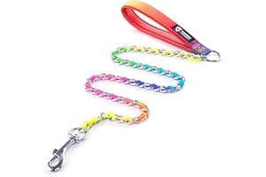TSPRO Correa para Perros Cadena de Perro, Antimordeduras Cadena de Acero Inoxidable, Correa de Entrenamiento con Mango Suave, para Perros de Tamaño Mediano y Grande (3MM, Arcoíris)