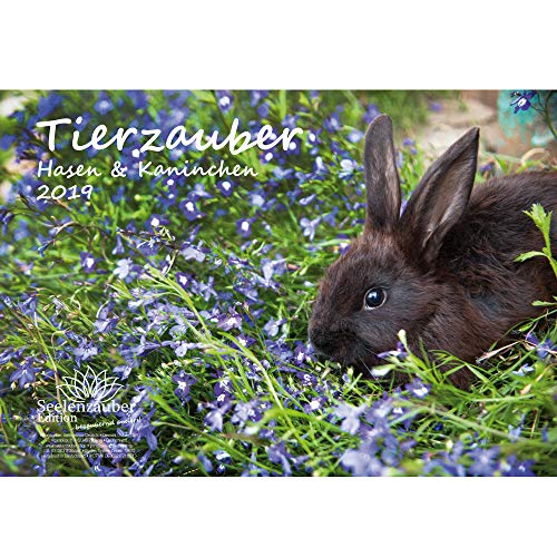 Download Tier magique – Format A4 – et lapin Premium Calendrier 2019 – Maison – Naturel – Animaux – Coffret cadeau avec 1 carte de vœux et 1 carte de Noël – Édition âme magique