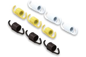 MALOSSI Kupplungsfedern Racing für Piaggio Mofas m