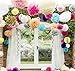 LifeGlow Crafts™ Pom Poms -12Pcs of 10" 12" 14" Multi-Colors Tissue Paper Flowers Pom Poms Wedding Decor Party Decor Pom Pom Flowers Pom Poms Craft Pom Poms Decoration (Colorful) RS.2446.00