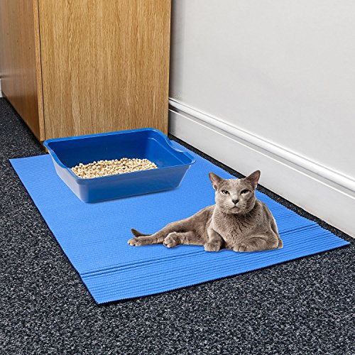 Prime Paws - Bandeja de Arena Grande para Gatos y Gatos, 100 x 65 cm