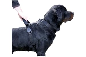 MARTIN SELLIER Martin-Sellier - Harnais avec poignée d'intervention pour chien - nylon (90/110cm x 40mm)