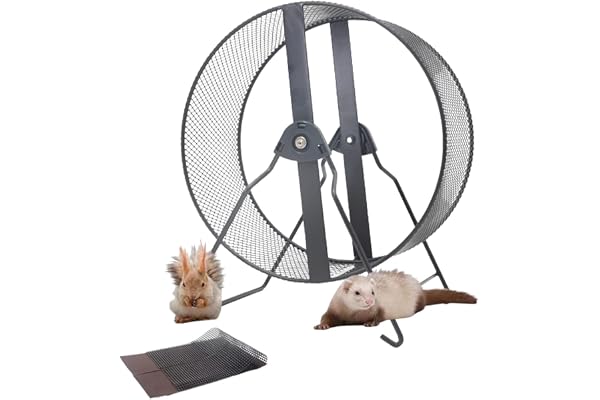 Roue D'exercice Silencieuse Pour Hamster Avec Gerbille Chinchilla écureuil Lapin Rats Chinchillas Gerbilles Souris, Énorme Taille, 32cm/ 12.6inch De Diamètre, Animaux De Moyenne Et Grande Taille