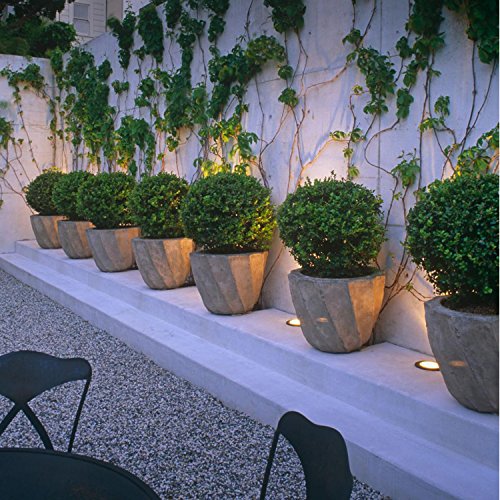QACA LED Einbauleuchten Bodeneinbaustrahler Außen Wasserdicht IP67 2,5W Ø80mm Treppenstufen Garten Terrasse - 3