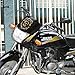 WallDesign Decals For Bikes Lion King - Gold Colour Reflective Stickers RS.99.00