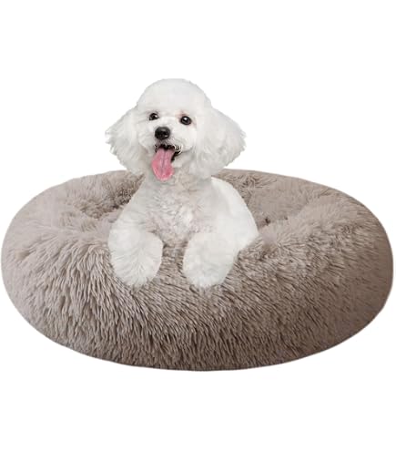 Panier Pour Chat Citrouille 16,5 Pouces - Lit Douillet En Peluche Avec Coussin Amovible - 7