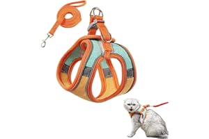 KEWUF Arnes para Gatos Antiescape, Arnés Gato Ajustable, Suave y Transpirable Correa para Caminar, Entrenar, Gato Pequeño y Mediano(M, Peso recomendado: 2-4 kg)