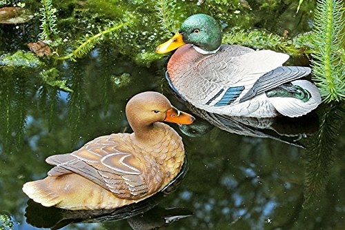 Gartendeko Schwimmtier Schwimmenten 2er Set Erpel / Ente aus Kunststoff