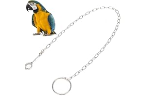 CYRANK Catena a Piede Diviso in Acciaio Inossidabile Per Pappagalli di Grandi Dimensioni Anello Cavigliera Per Addestramento di Animali Domestici Per Uccelli Pappagalli Ara Grigi Africani Parrocchetto Cacatu