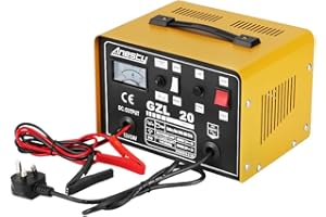 ANESTY Car Battery Charger, 12V/24V 20A 20Amp Heavy Duty Battery Charger, Ideal for Various Vehicle Cars Vans Tractors Lead-acid Batteries