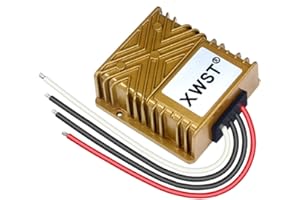 XWST Golden Schale DC DC 36V 48V zu DC 12V Step-Down Converter Spannungswandler 10A 120W Auto Netzteil Wandler Konverter Transformator Adapter DC 30-60V Breit Eingang für Auto Motor