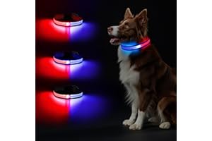 PEWKIM Leuchtend Halsband, LED Hundehalsband, Leuchthalsband Hund Aufladbar, Leuchtband Einstellbar Wasserdicht mit 2 Lichtmodi Hunde Leuchthalsband für Kleine Mittlere Große Hunde Nachtspaziergänge
