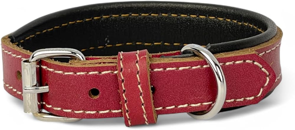Canini Collar Rainbow XS Hakiki Deri Küçük Köpek Tasması – XS Beden, Küçük ve Mini Köpekler İçin Tasma, Yumuşak İç Deri, Krom Kaplamalı Toka & D-Halka, 7 Farklı Renk Seçenekleri (Kırmızı)