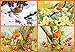 Produktbild John Francis – Robin Multipic Kunstdruck (91,44 x 60,96 cm)